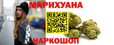стаф Донской