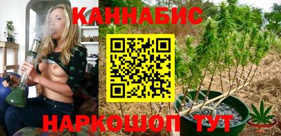 стаф Донской