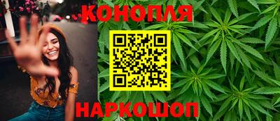 стаф Донской