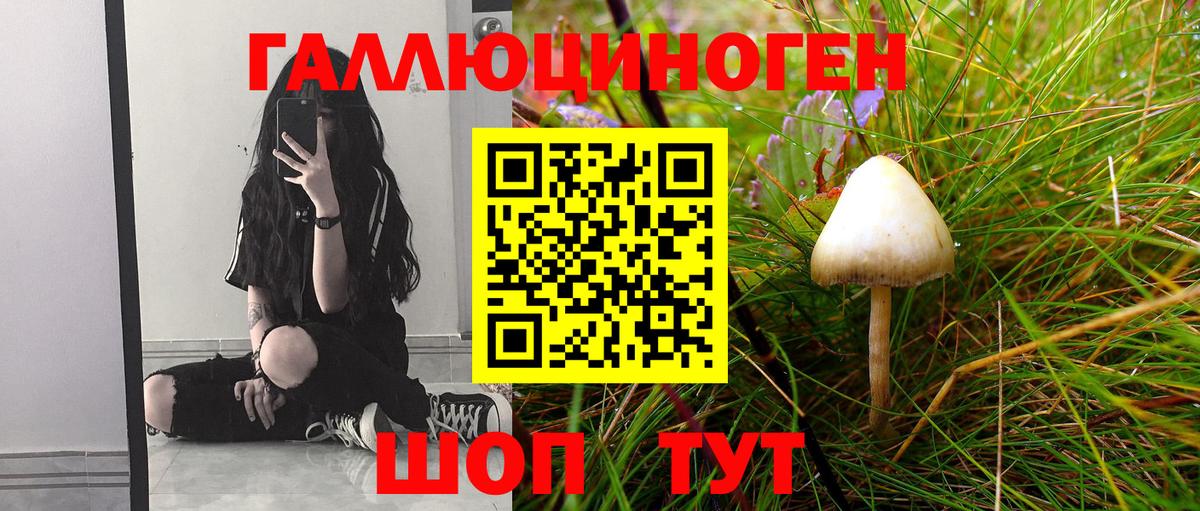 Псилоцибиновые грибы MAGIC MUSHROOMS Нижнекамск