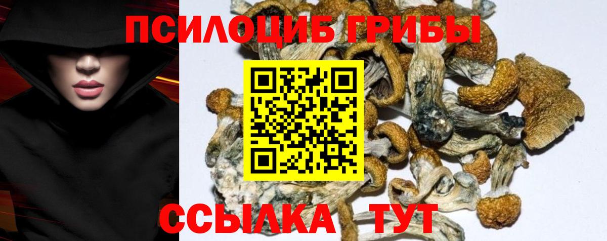 сколько стоит  Псилоцибиновые грибы GOLDEN TEACHER  Вход с VPN  Псилоцибиновые грибы Magic Shrooms  Нижнекамск 